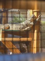 IMG_1994.jpeg