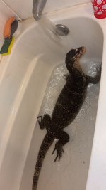 IMG_1046.jpeg