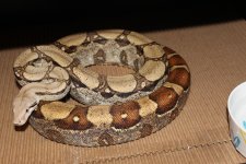 IMG_1346.JPG