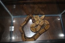 IMG_1354.JPG