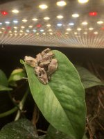 IMG_7353.jpeg