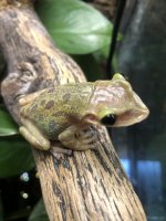 IMG_6539.jpeg