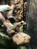 IMG_6537.jpeg