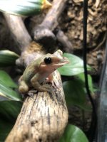 IMG_6538.jpeg