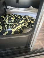 IMG_3920.jpeg