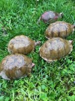 IMG_3572.jpeg