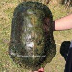 27610e01-ed8a-449d-bc96-9842f9cffe0d-768x768.jpeg