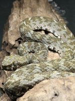 IMG_1102.jpeg