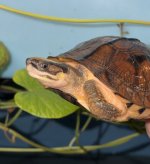 IMG_2300.jpeg