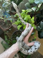 IMG_5749.jpeg