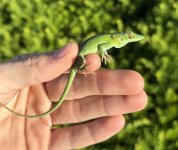 IMG_7090.jpeg