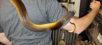 20260507_203936.jpg