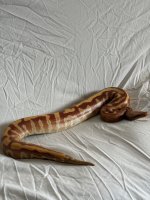 IMG_3080.JPG