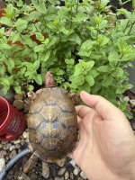 IMG_6313.jpeg