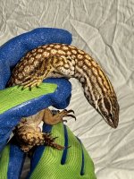 IMG_3142.JPG