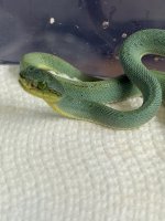 IMG_1384.jpeg