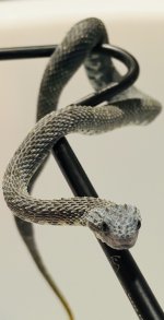 IMG_2067.jpeg
