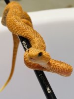 IMG_2068.jpeg