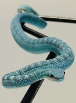 IMG_2072.jpeg