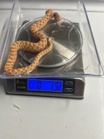 IMG_1846.jpeg