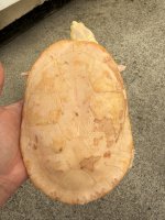 IMG_0431.jpeg