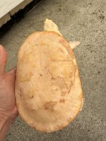 IMG_0430.jpeg