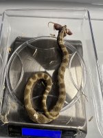 IMG_1848.jpeg