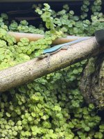 IMG_3329.jpeg