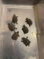 IMG_6023.jpeg