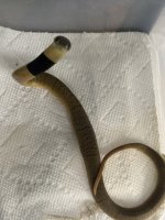 IMG_0701.jpeg