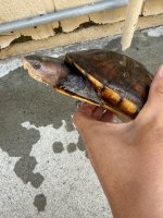IMG_0450.jpeg