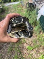 IMG_3192.jpeg