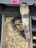 IMG_6706.jpeg