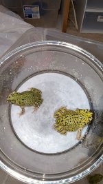 IMG_2499.jpeg