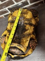 red foot 5.jpg