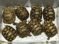 Untitled (400 x 300 px).png