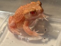 IMG_5219.jpeg