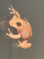 IMG_5006.jpeg