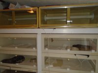 DSC03113.JPG
