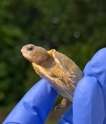 unnamed.jpg