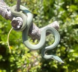IMG_8873.jpeg
