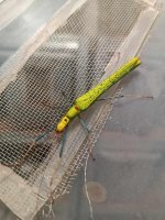 IMG_3015.jpeg