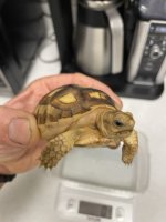 IMG_6226 Medium.jpeg
