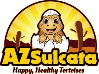 baby sulcata tortoises for sale.jpg