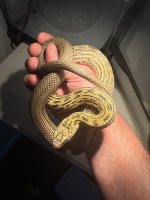 IMG_6078.jpeg