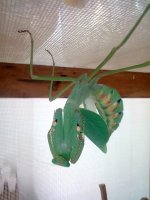 IMG_9043.jpeg