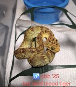 IMG_0180.jpeg