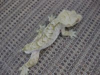 IMG_0863.jpg