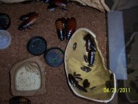100_2305.jpg