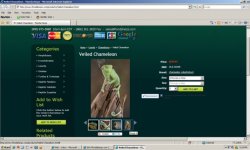 florida herps.jpg
